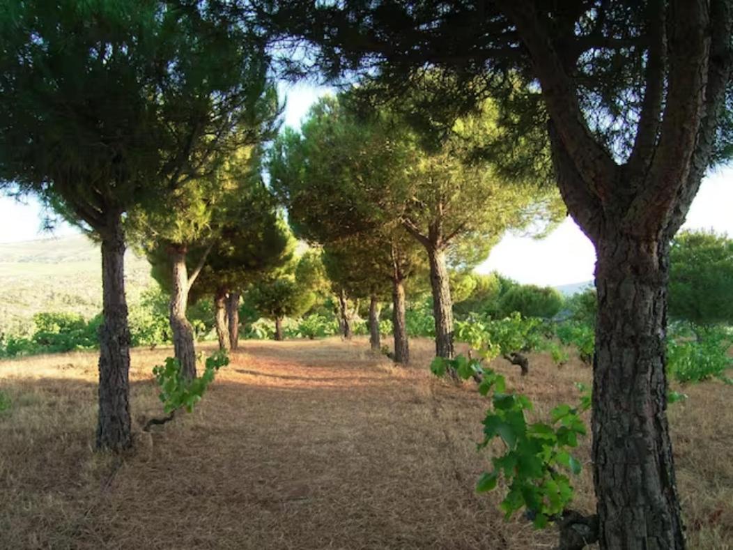 Maison d'hôtes Isla Del Burguillo à Ávila Extérieur photo